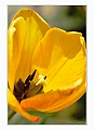 070414-15_Lussault_14 copie